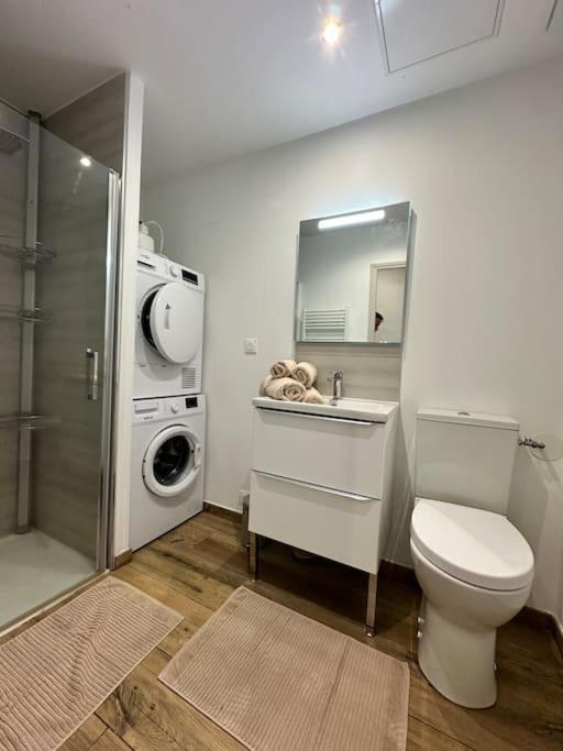 Studio D'Hotes Victoire Sainghin-en-Weppes エクステリア 写真